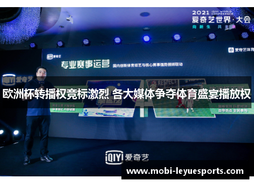 欧洲杯转播权竞标激烈 各大媒体争夺体育盛宴播放权