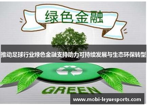 推动足球行业绿色金融支持助力可持续发展与生态环保转型