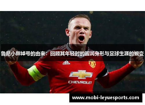 鲁尼小胖绰号的由来：回顾其年轻时的圆润身形与足球生涯的蜕变