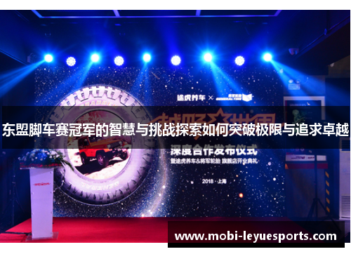 东盟脚车赛冠军的智慧与挑战探索如何突破极限与追求卓越