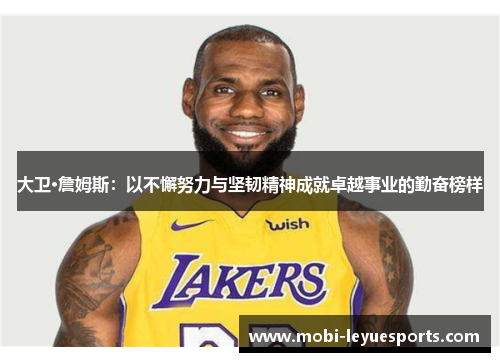 大卫·詹姆斯：以不懈努力与坚韧精神成就卓越事业的勤奋榜样