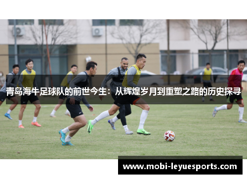 青岛海牛足球队的前世今生：从辉煌岁月到重塑之路的历史探寻